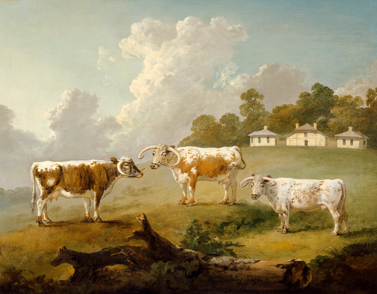 Three Long-horned Cattle at Kenwood, 1797 by Julius Caesar Ibbetson