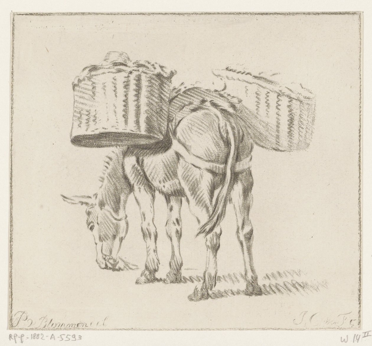 Loaded Donkey by Jurriaan Cootwijck