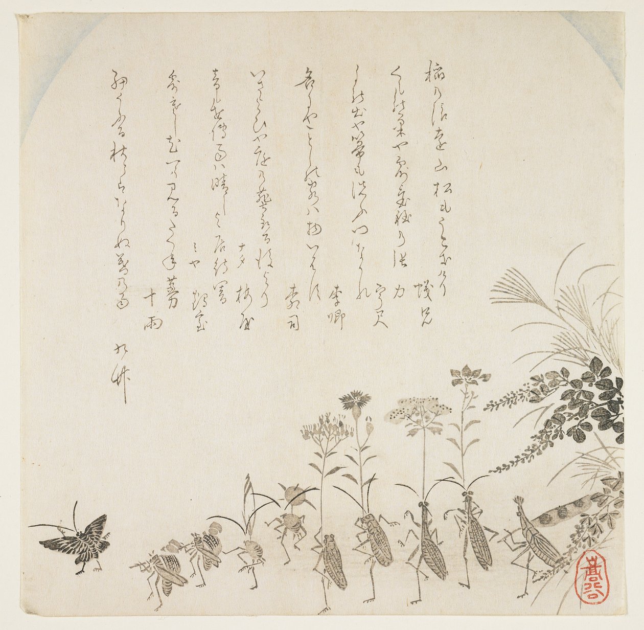 Autumn flowers and singing insects by K II Skoku