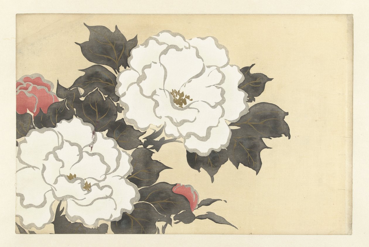 Peonies (Flowers of a Hundred Worlds / Momoyogusa, Vol. 1) by Kamisaka Sekka