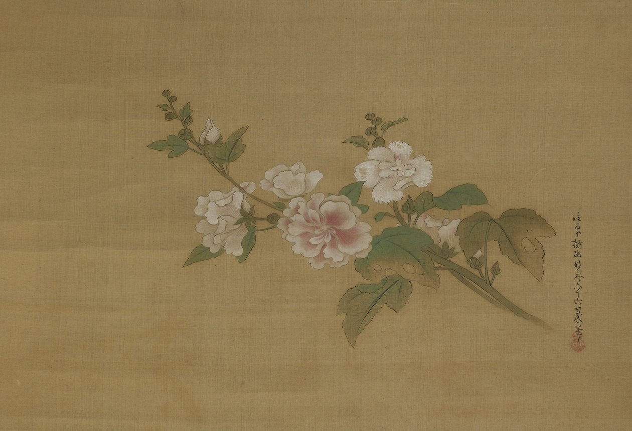A branch of flowering hibiscus, Edo Period by Kano Tanyu