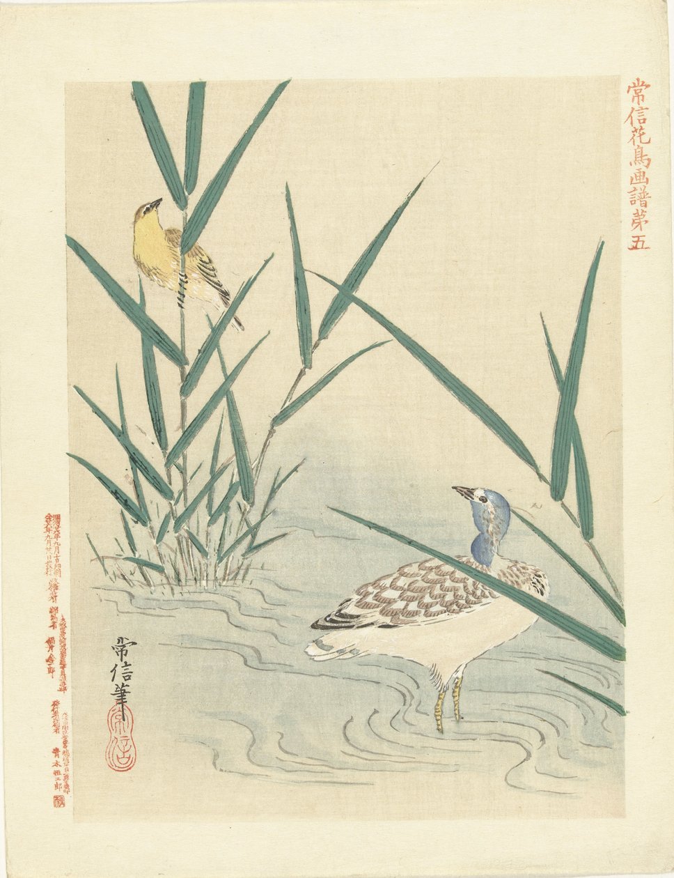 Waterfowl Looking at Yellow Songbird (series title: Flower and Bird Sketches by Kano Tsunenobu) (series title on object: Kano Tsunenobu Kacho Gafu) by Kano Tsunenobu