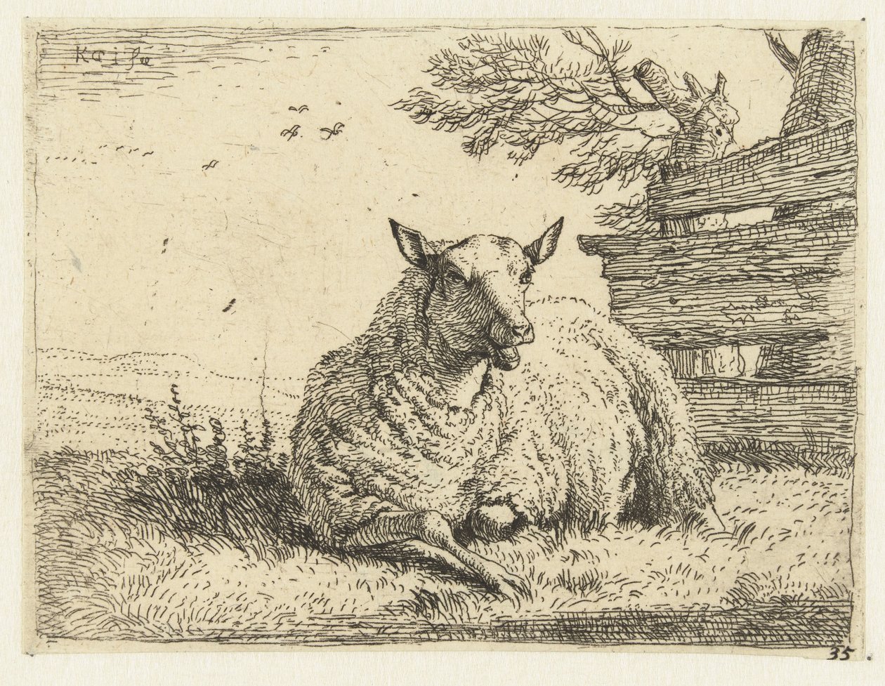 Sheep by a Fence by Karel Du Jardin