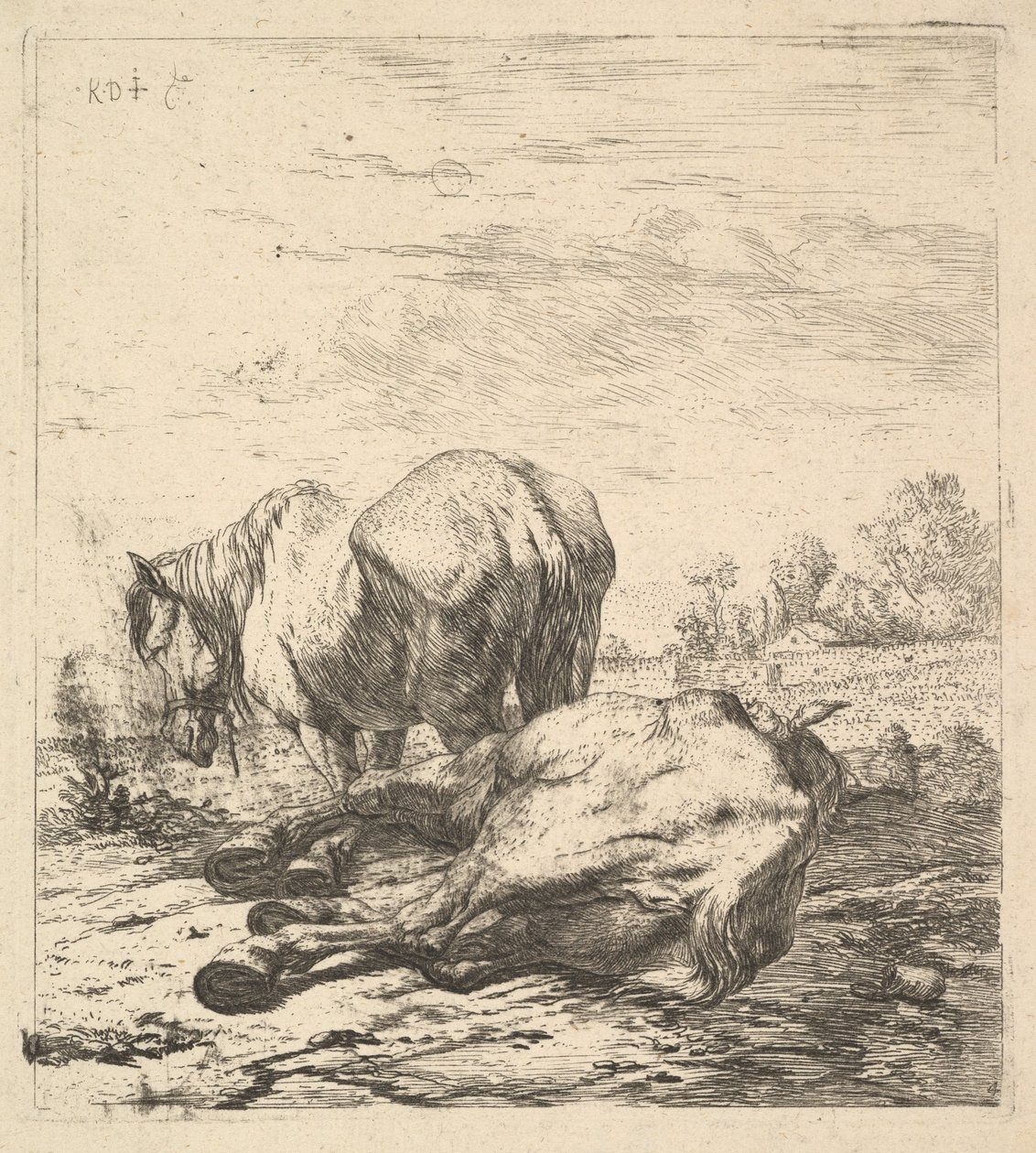 The Two Horses, 17th century by Karel Du Jardin