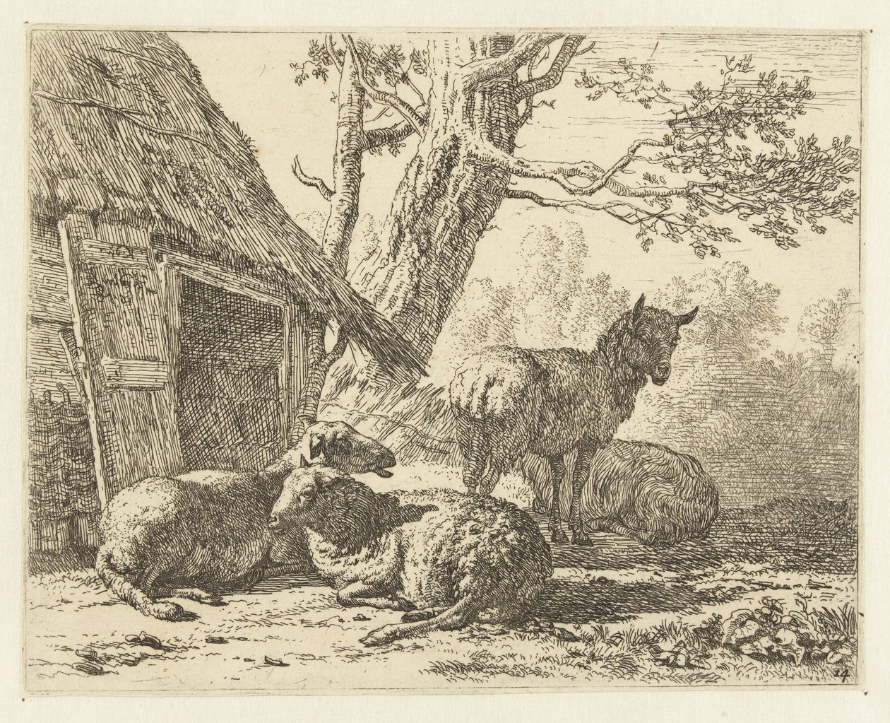Four Sheep by Karel Du Jardin