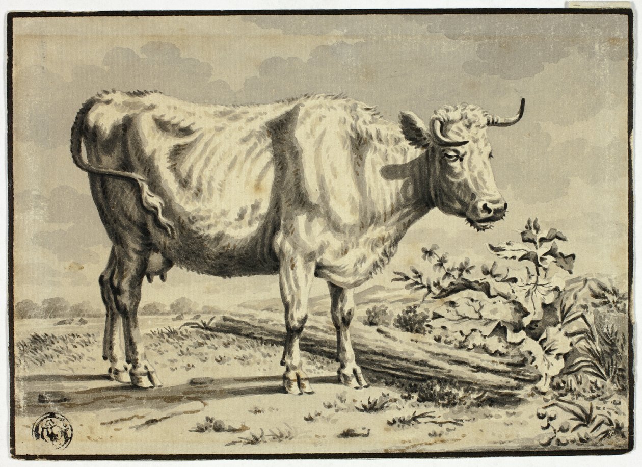 Cow by Karel Dujardin