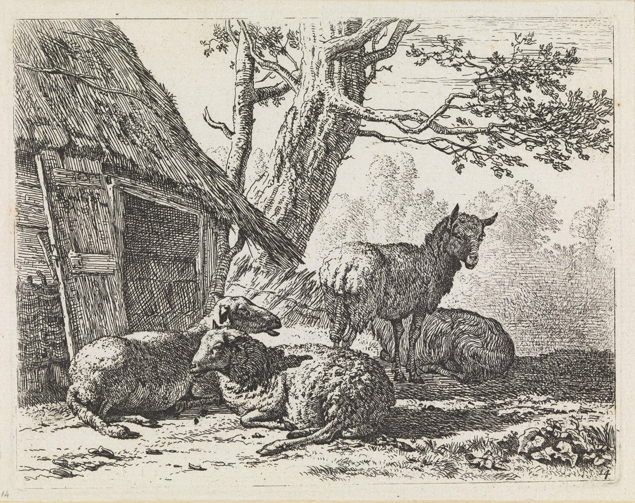 Four Sheep by Karel Dujardin