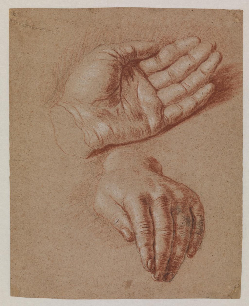 Studies of Two Hands by Karel van III Mander