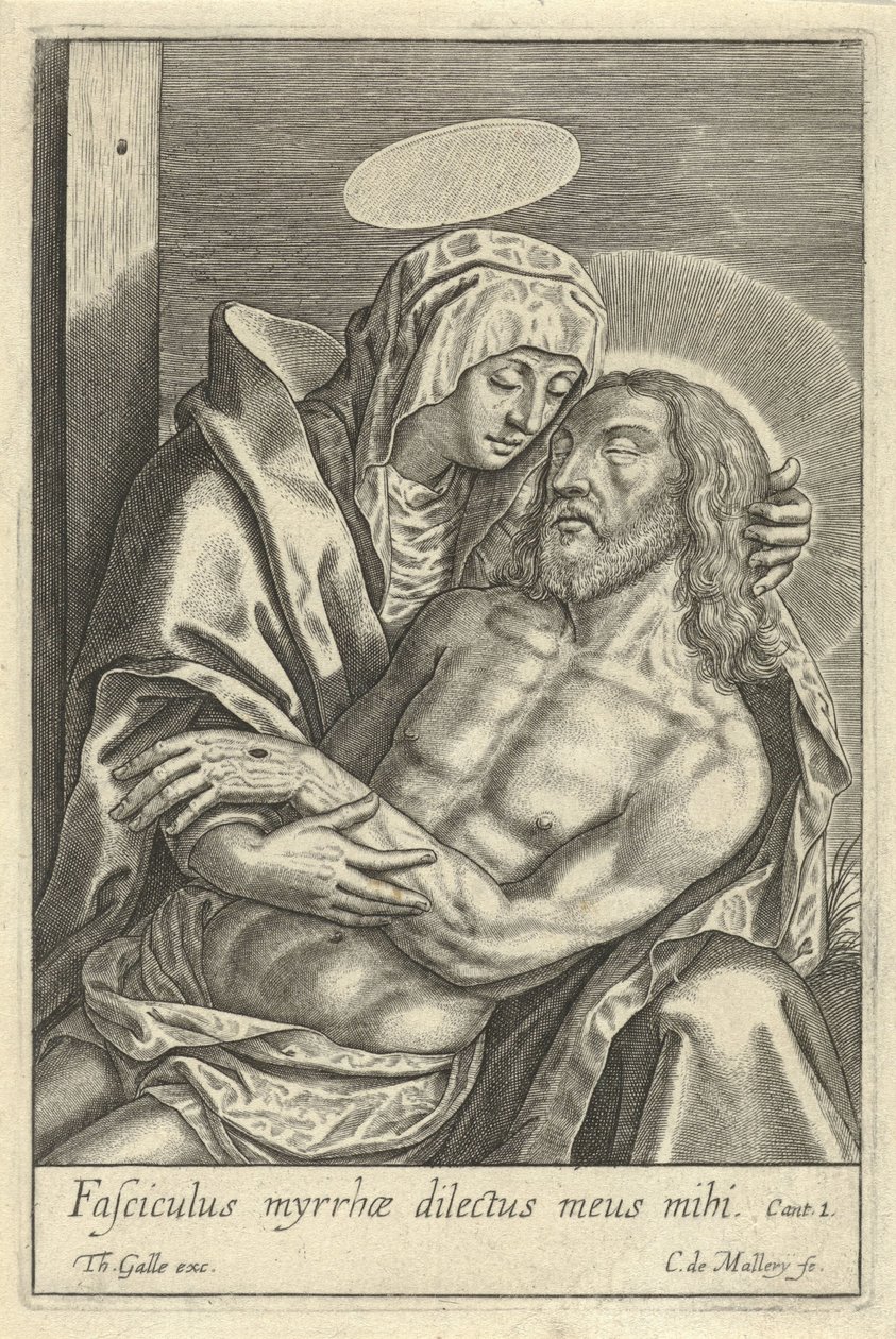 Pietà by Karel van Mallery