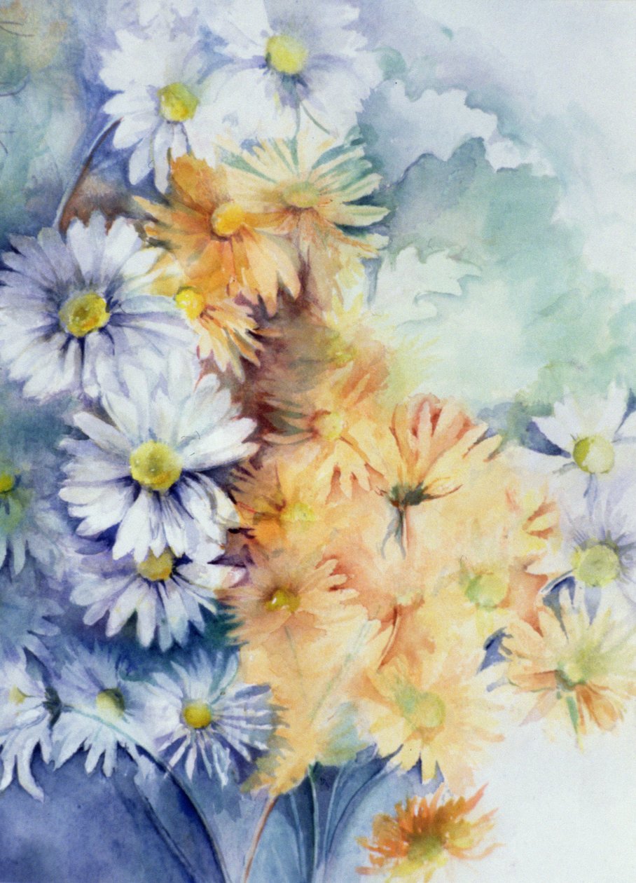 Chrysanthemum, White and Apricot by Karen Armitage