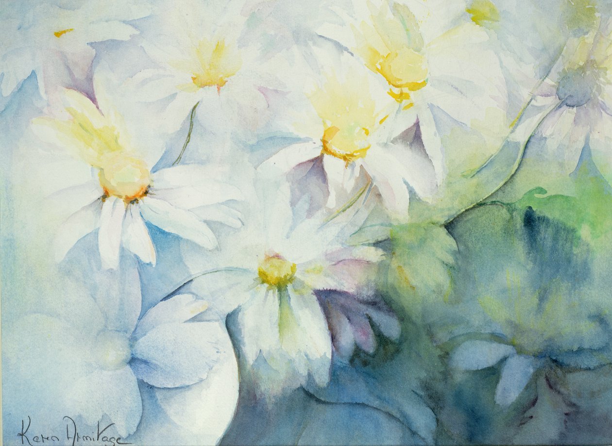 Daisies, Shasta by Karen Armitage