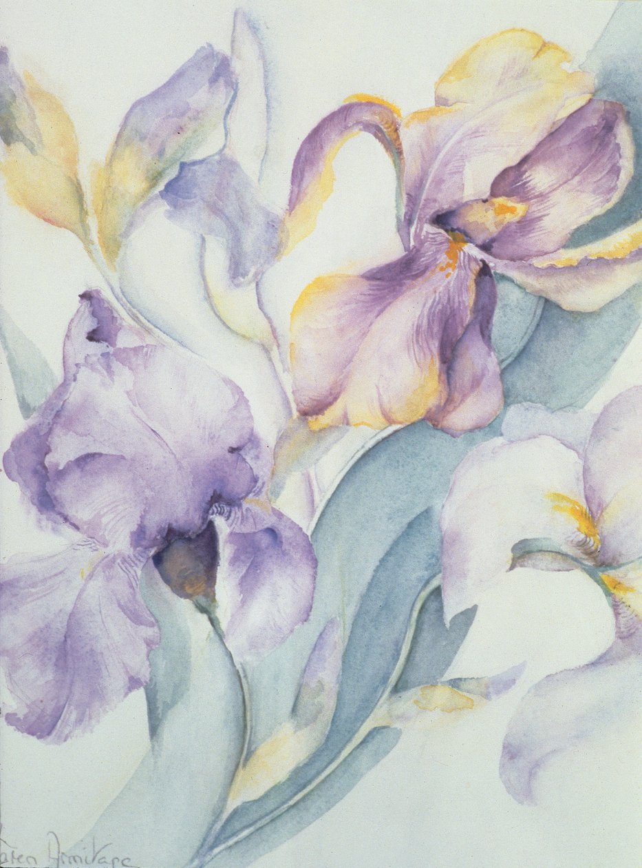 Iris Mixed, Ola Kale and Mary Todd by Karen Armitage