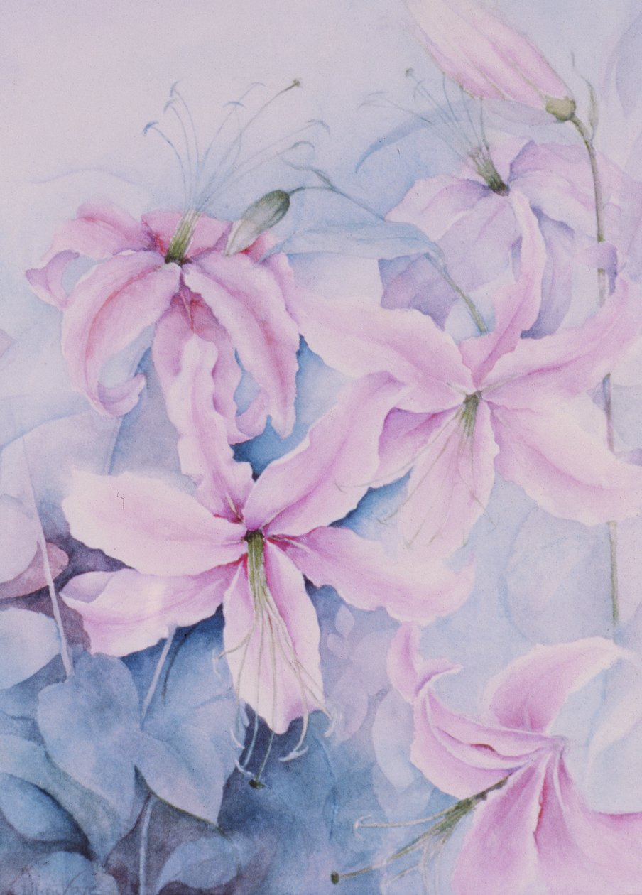 Lilies, Pink Auratum by Karen Armitage