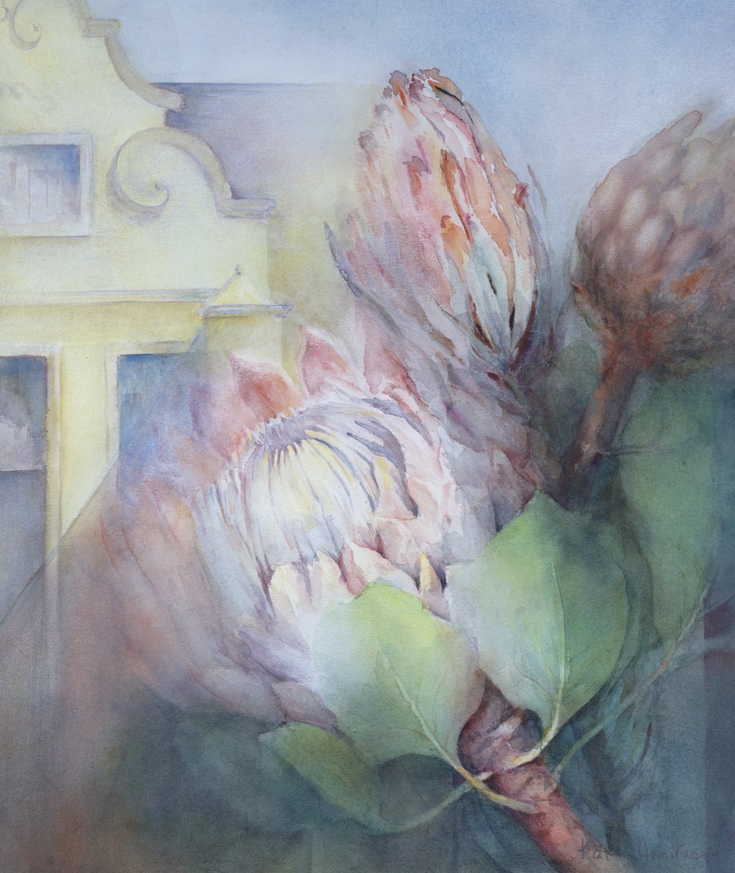 Protea at Stellenbosch by Karen Armitage