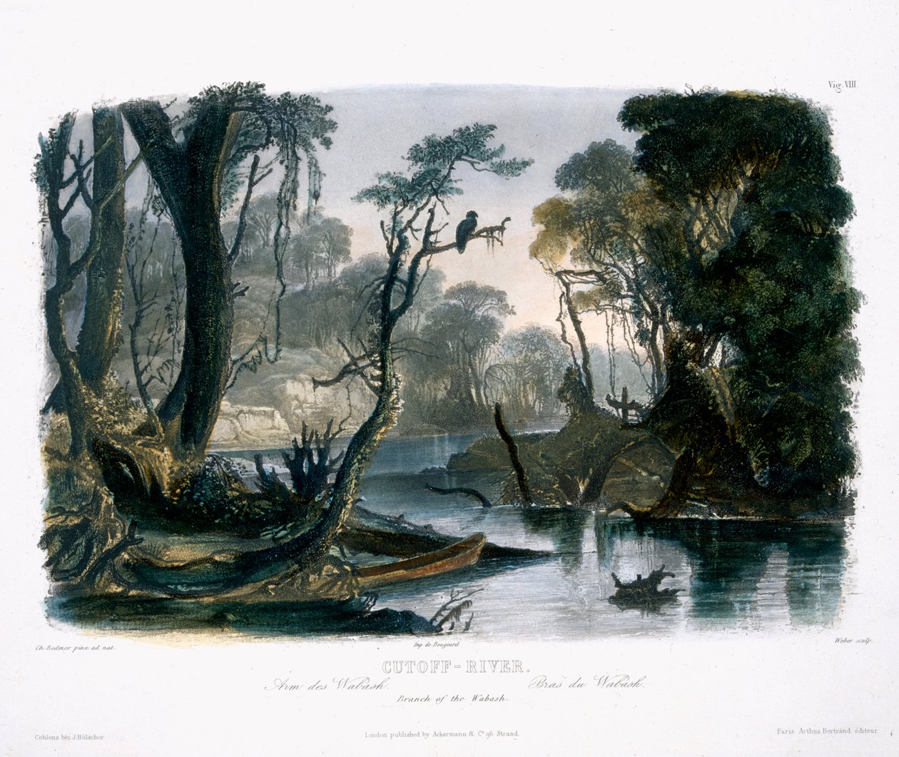 Cutoff River, Branch of the Wabash, plate 8 from Volume 1 of 