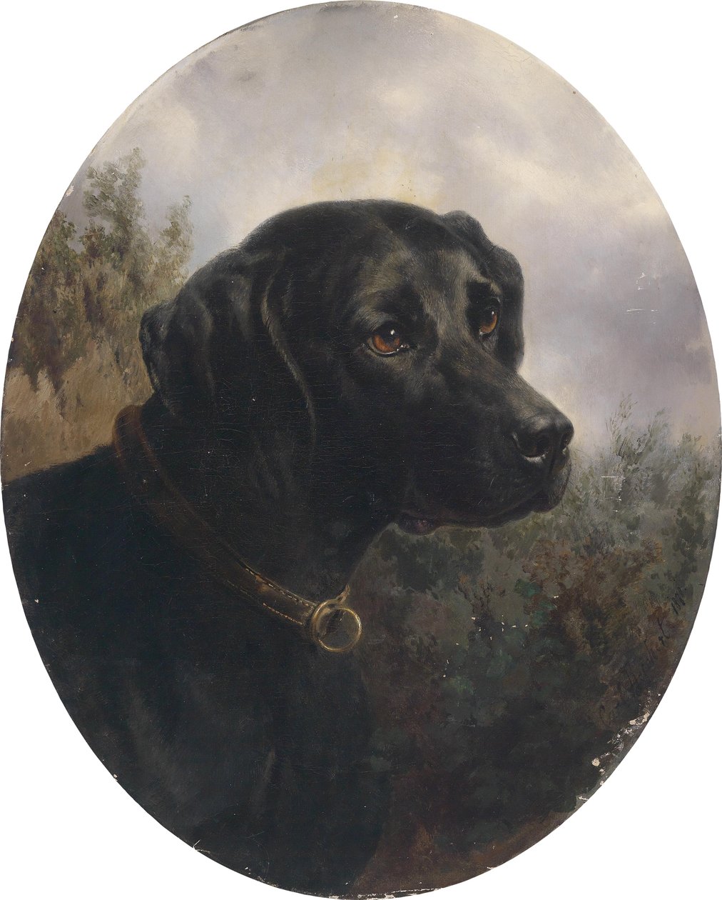 Hector, Pointing Dog of Arthur Ritter von Schnapper by Karl Reichert