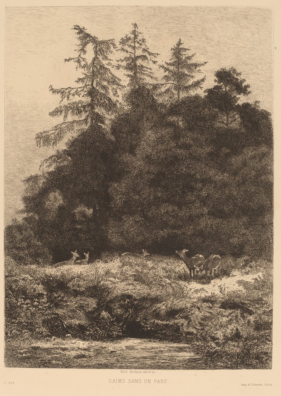 Deer in a Park by Karl Bodmer