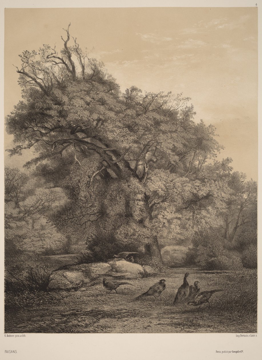 Pheasants by Karl Bodmer