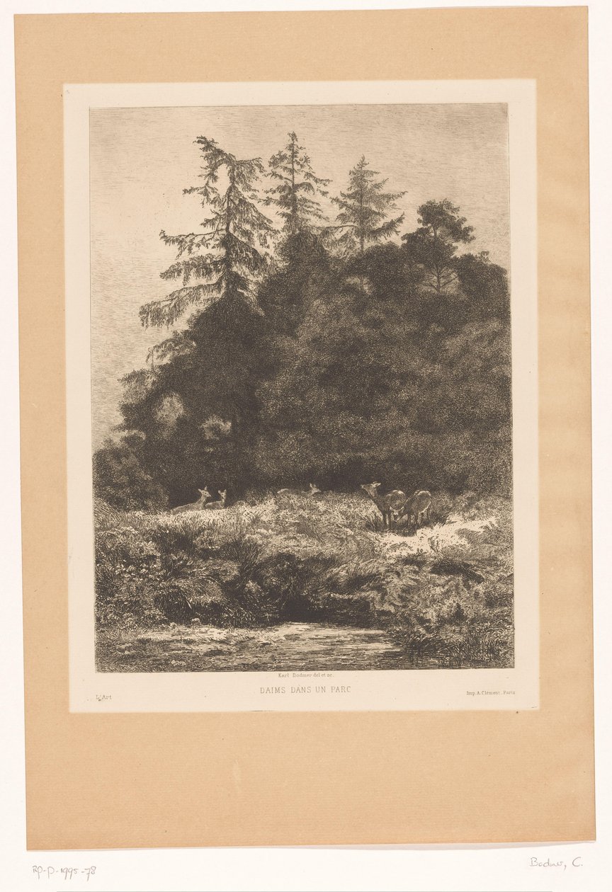 Deer at the Edge of a Forest by Karl Bodmer