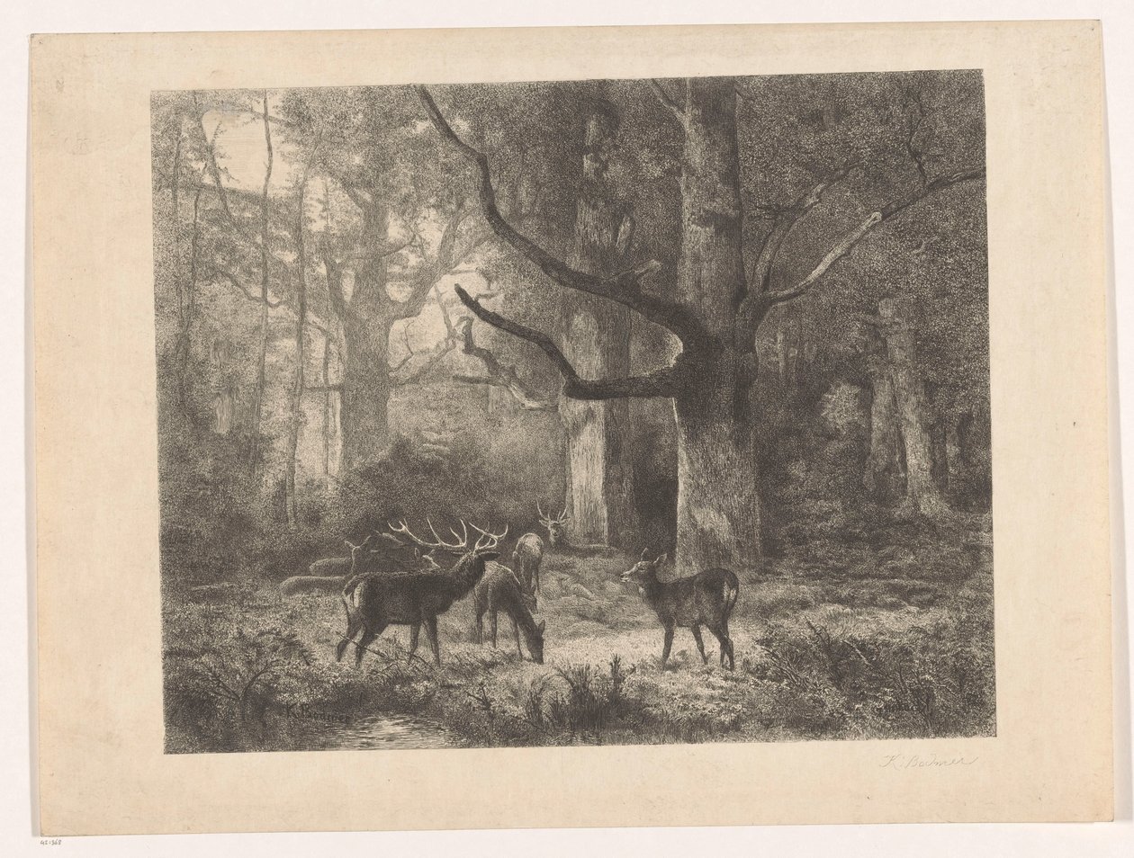 Deer in a Forest by Karl Bodmer