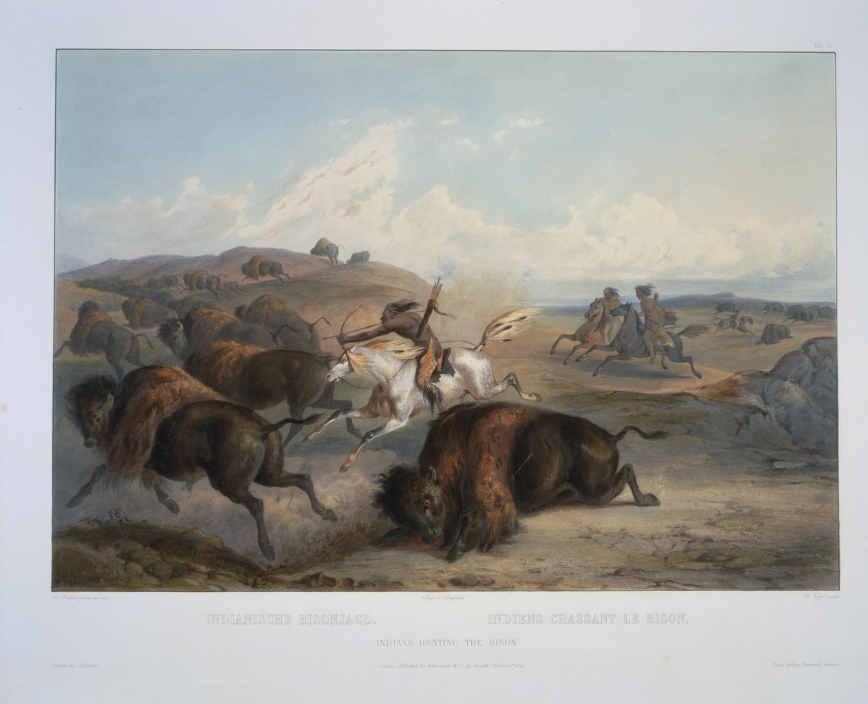 Indians Hunting the Bison by Karl Bodmer