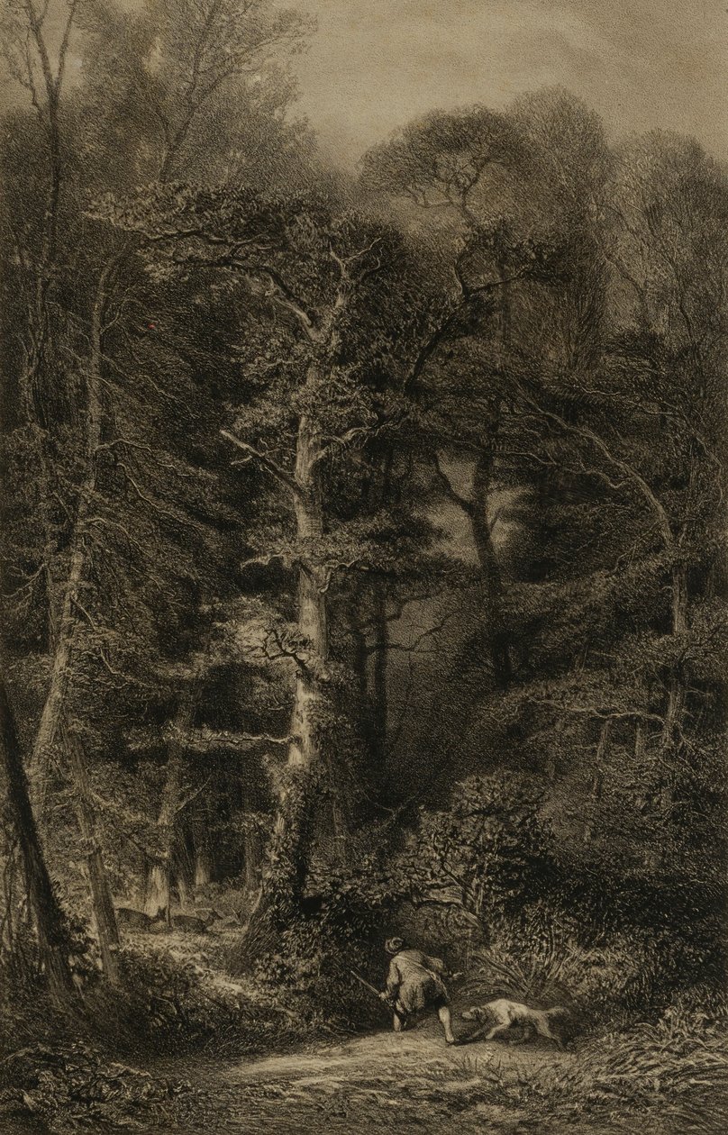 Interior of Forest by Karl Bodmer