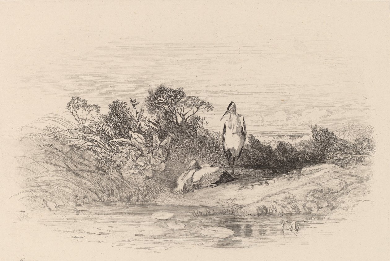 The Two Herons by Karl Bodmer