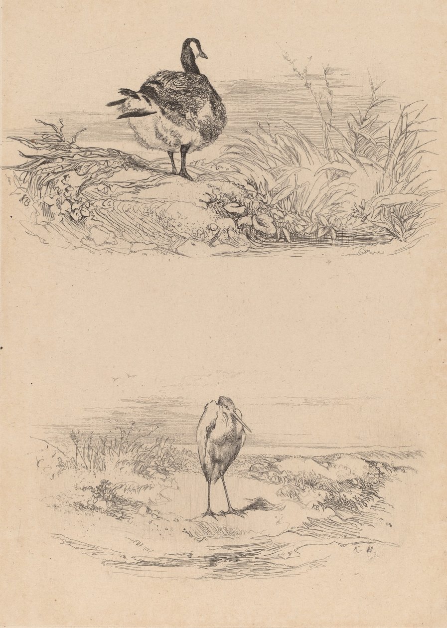 Goose, Heron by Karl Bodmer
