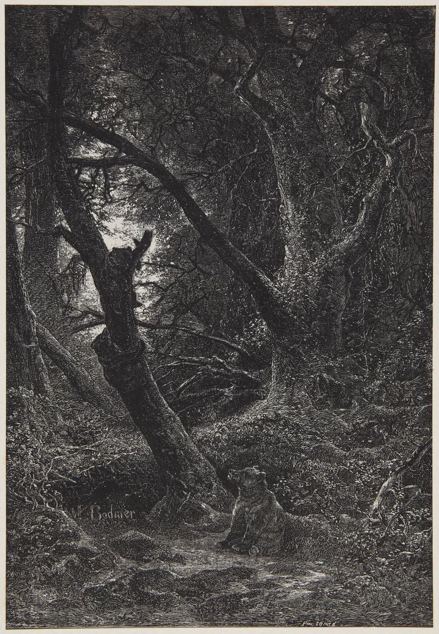 Two Bears in Forest by Karl Bodmer