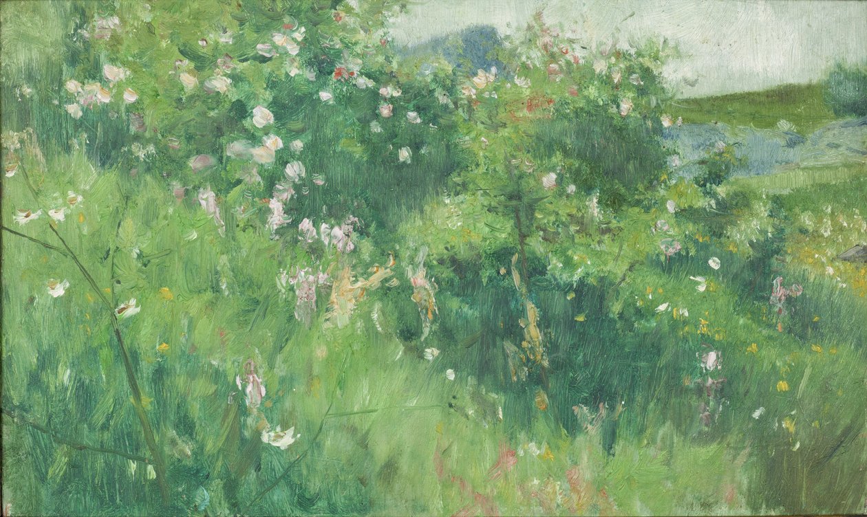 Briar-Rose Bushes Flowering on the Isle of Tjörn by Karl Fredrick Nordstrom