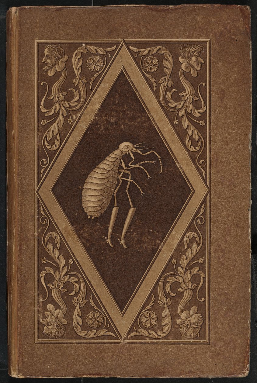 Master Flea: A Fairy-Tale in Seven Adventures of Two Friends by Karl Friedrich Thiele, Ernst Theodor Amadeus Hoffmann