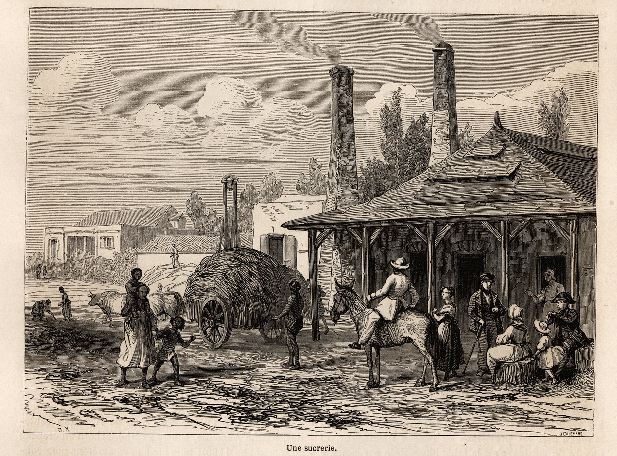 A Sugar Factory from the Riviere du Rempart in Mauritius by Karl Girardet