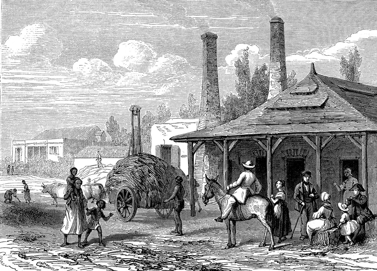 Sugar Plant in Mauritius in 1863 by Karl Girardet