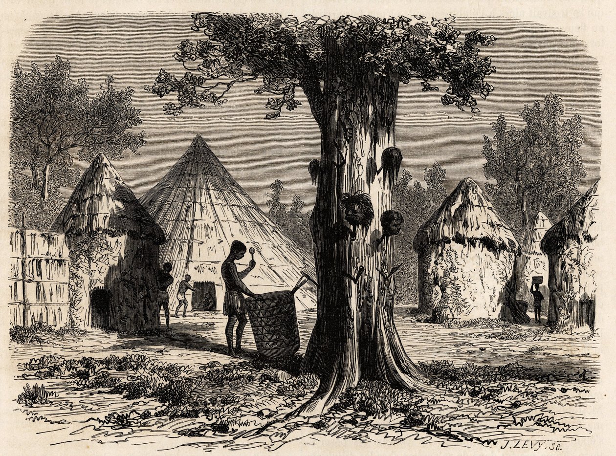 The tree of war, in a village Djour, Bahr-el-Gazal region, Sudan, drawing by Karl Girardet to illustrate the journey to the river of the gazelles of A. Bolognesi, in 1856-1857. Engraving in 