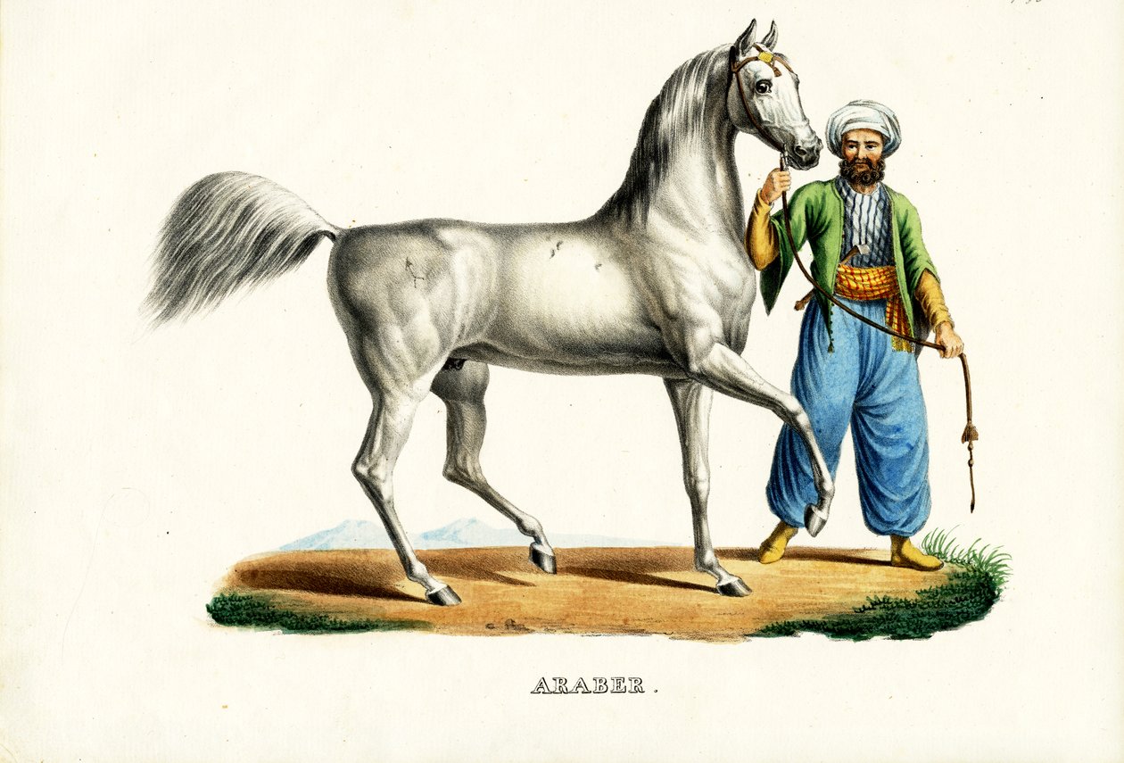 Arab Horse (1824) by Karl Joseph Brodtmann