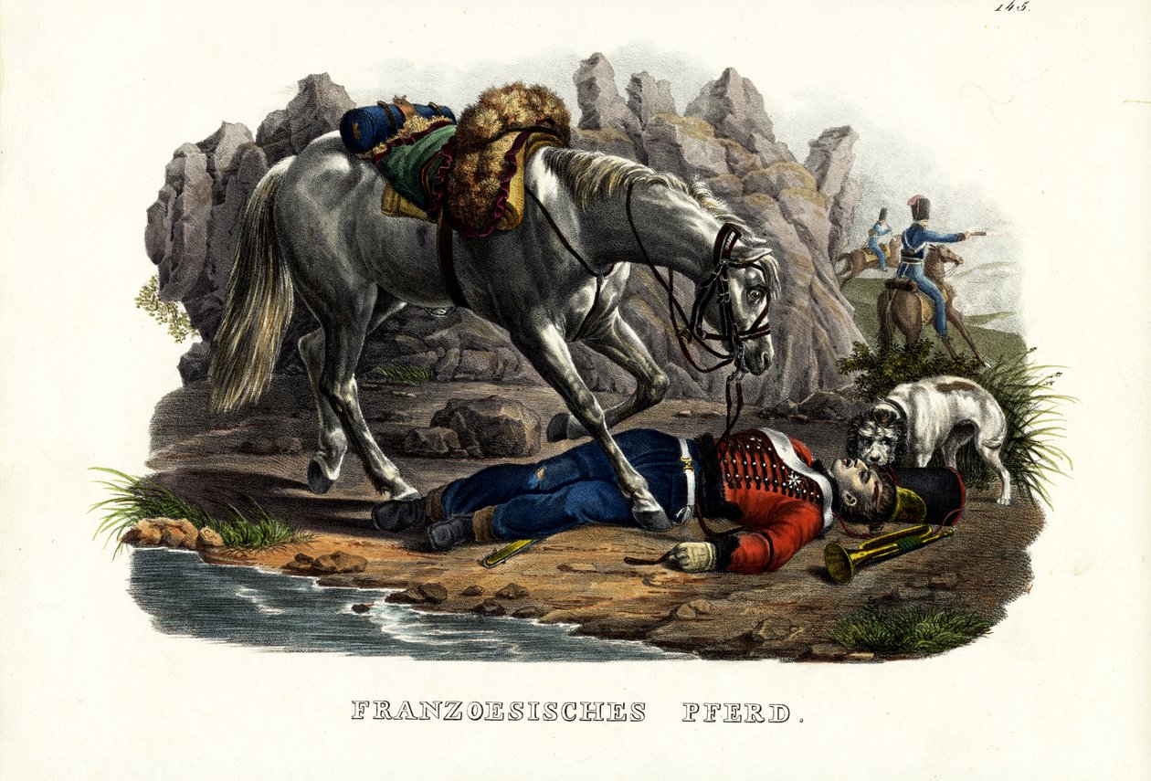 French Horse, 1824 by Karl Joseph Brodtmann