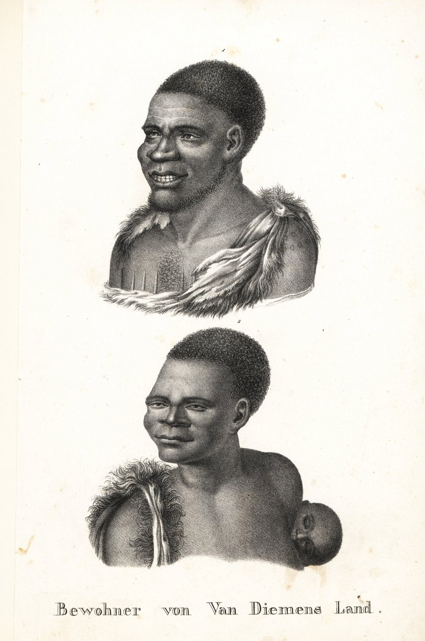Natives of Tasmania, Van Diemen