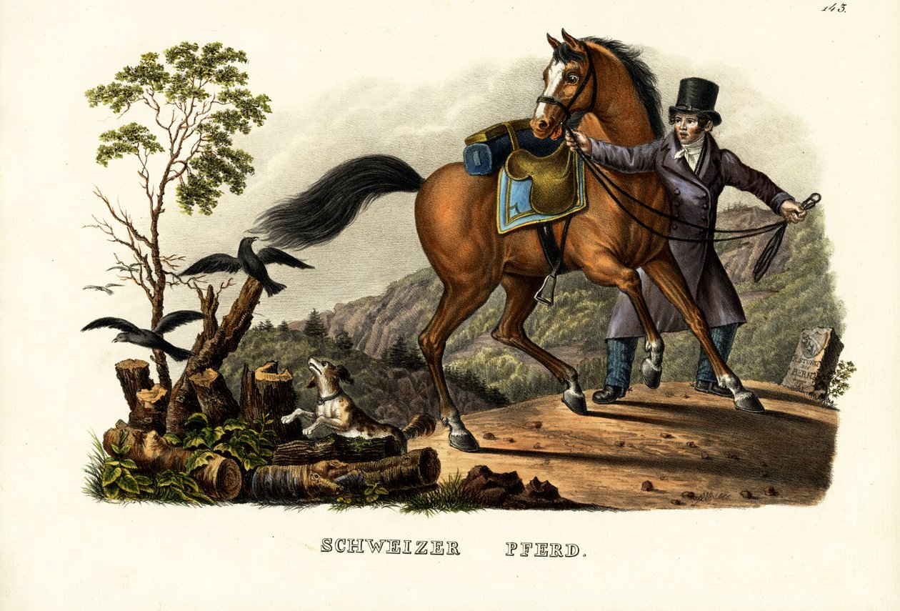 Swiss Horse by Karl Joseph Brodtmann