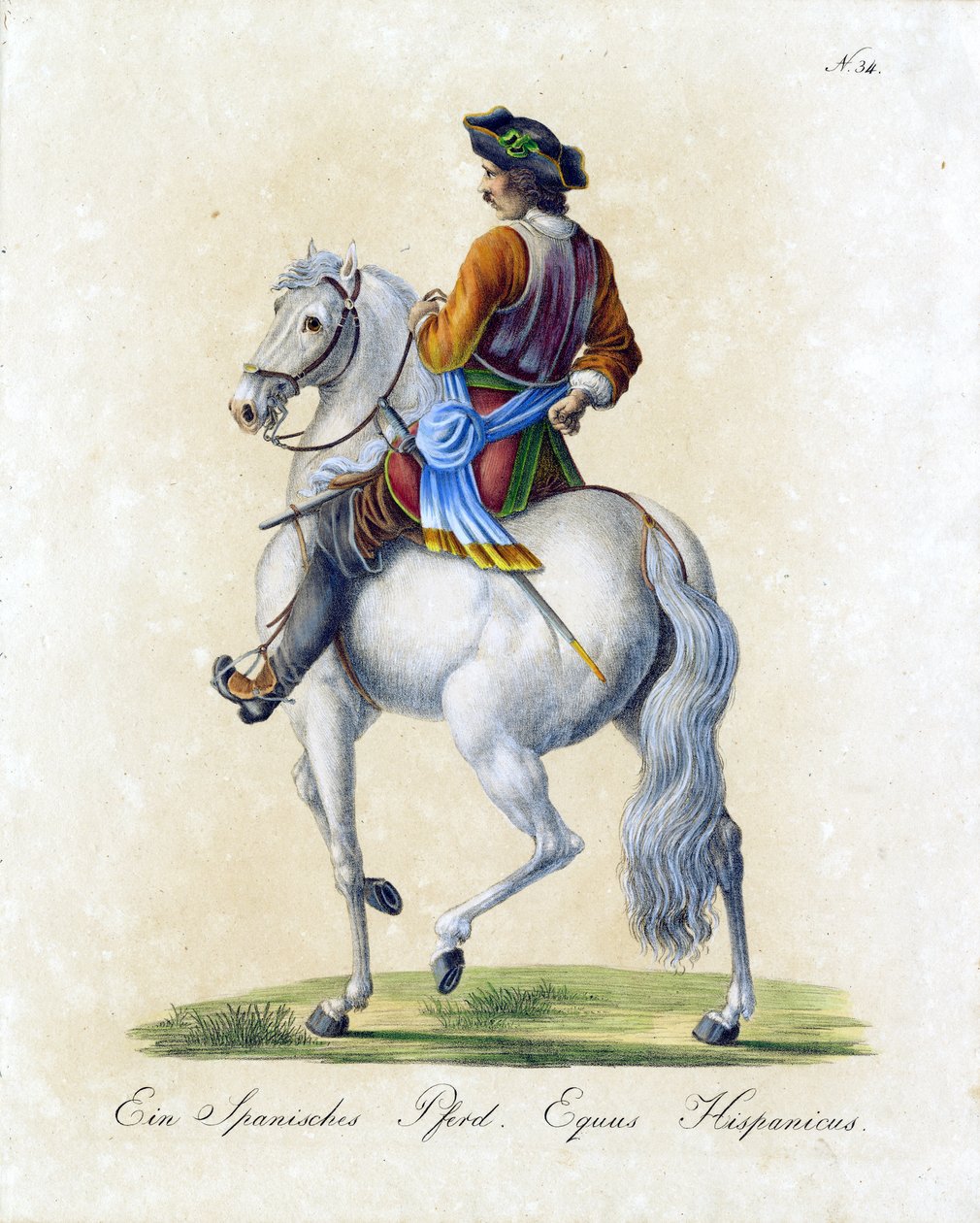 The Spanish Horse by Karl Joseph Brodtmann