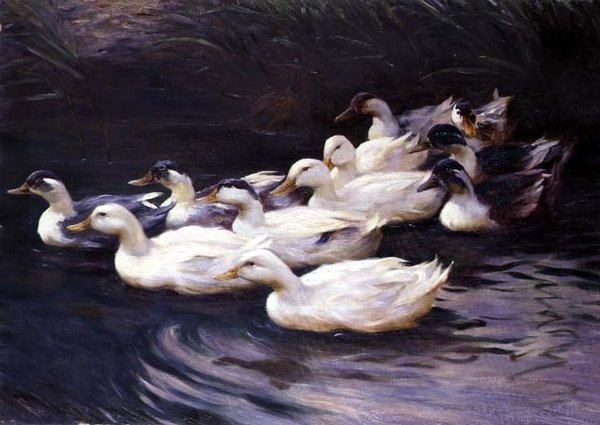 Ducks by Karl Lindner