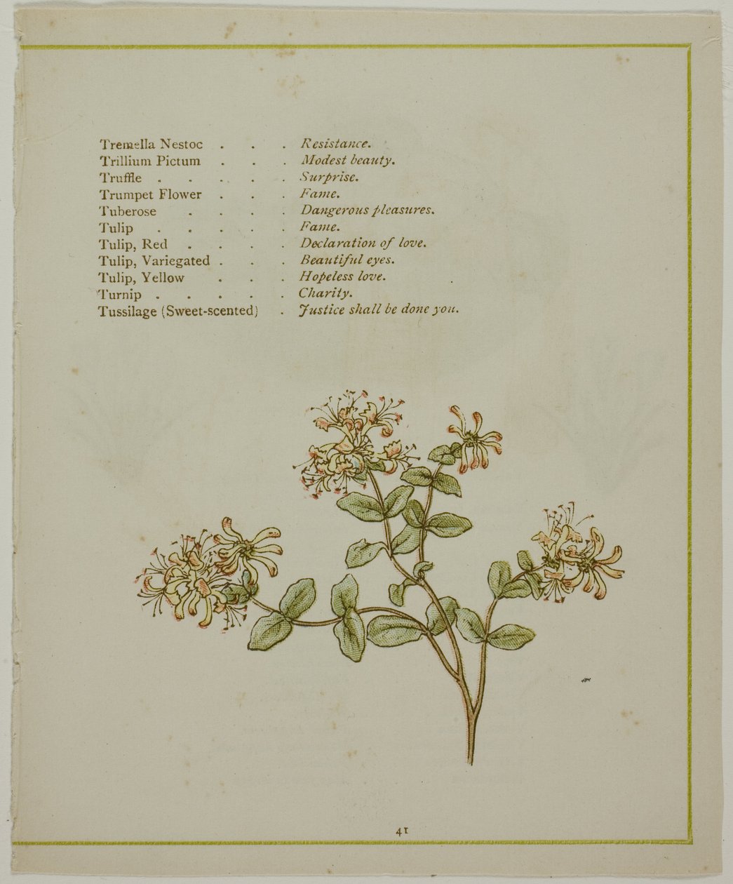 Valerian Through Volkamenia, from The Illuminated Language of Flowers by Kate Greenaway