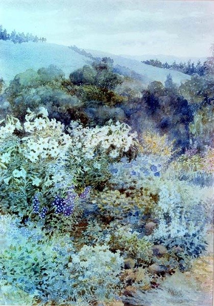 In a South African Garden, c.1900-10 by Kate Haith