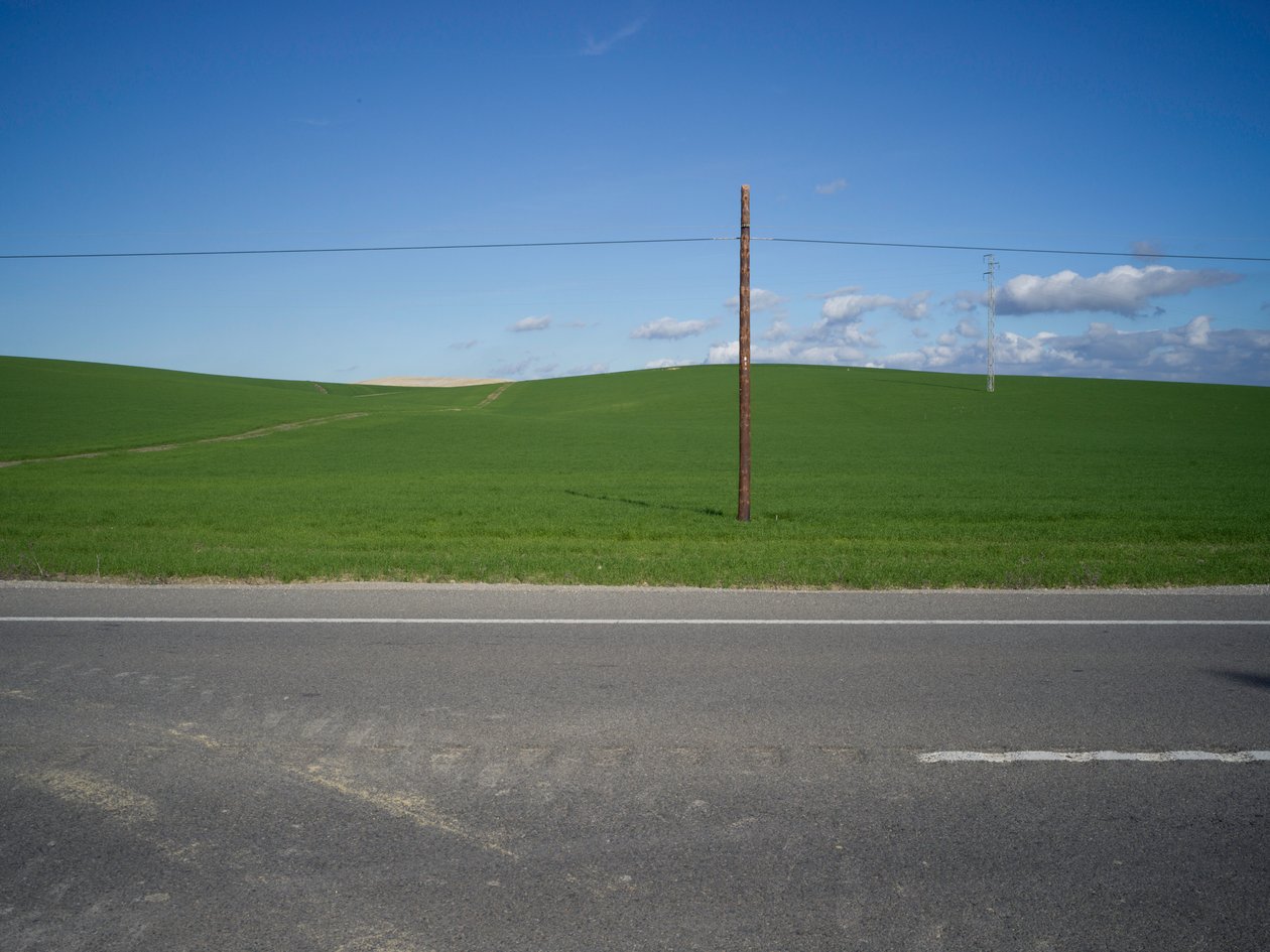 Isolated 2020 by Katha Wood