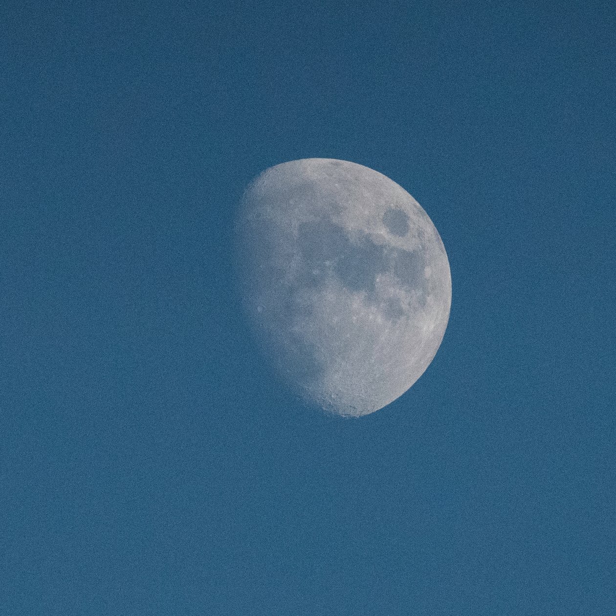 Look At The Moon, 2021 by Katha Wood