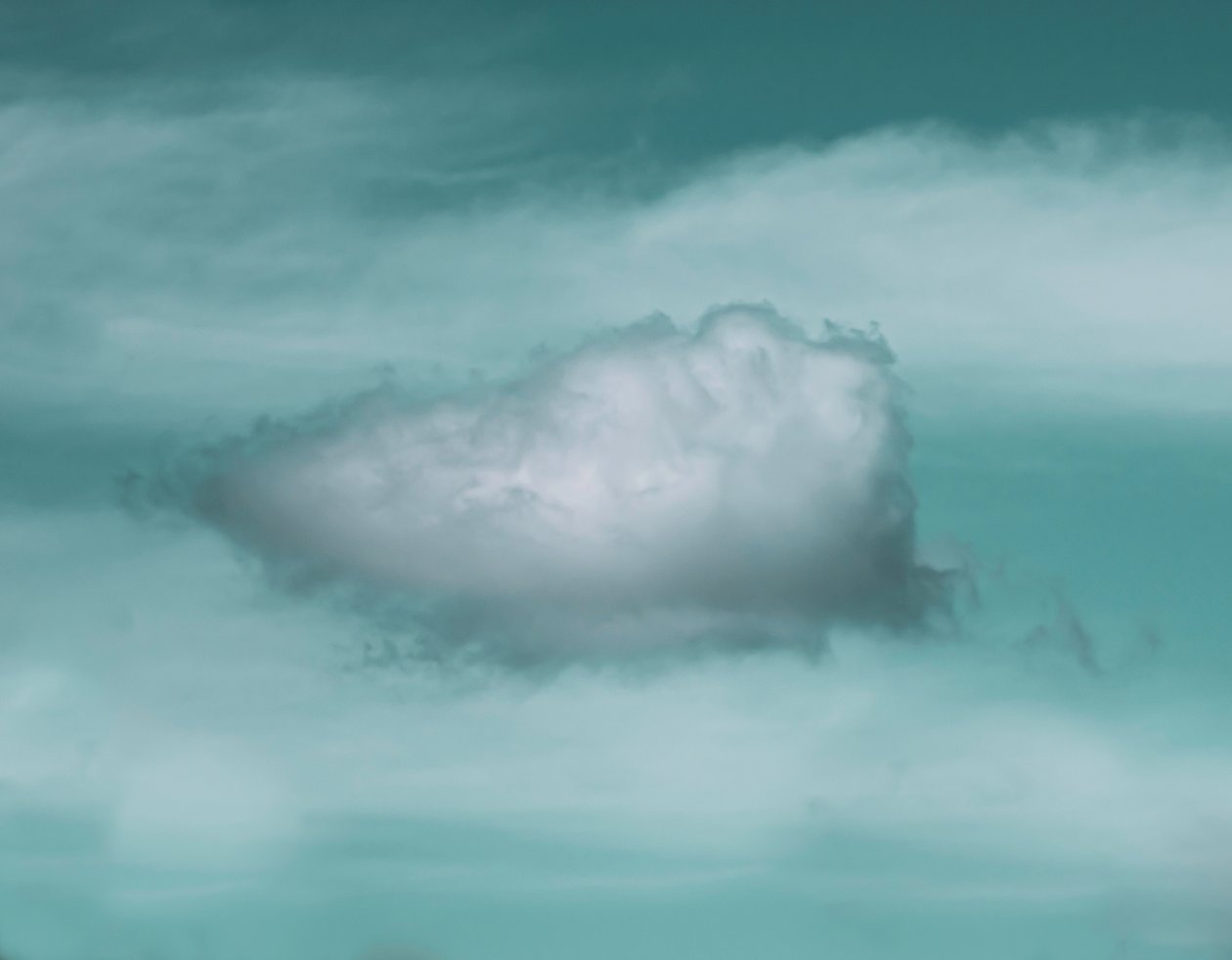This Cloud by Katha Wood