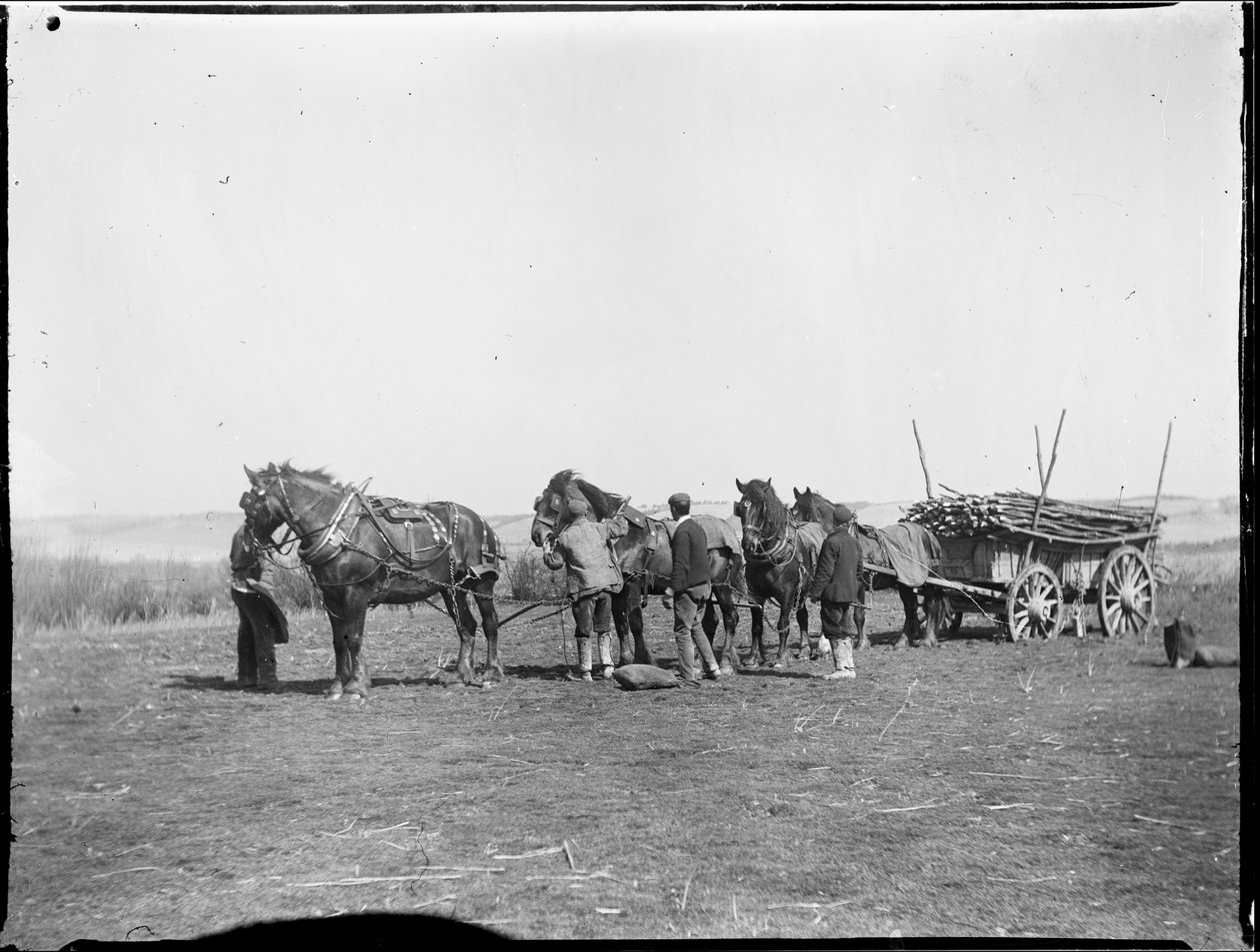 Broomfield, Broomfield And Kingswood, Maidstone, Kent, 06/04/1904 by Katherine Jean Macfee