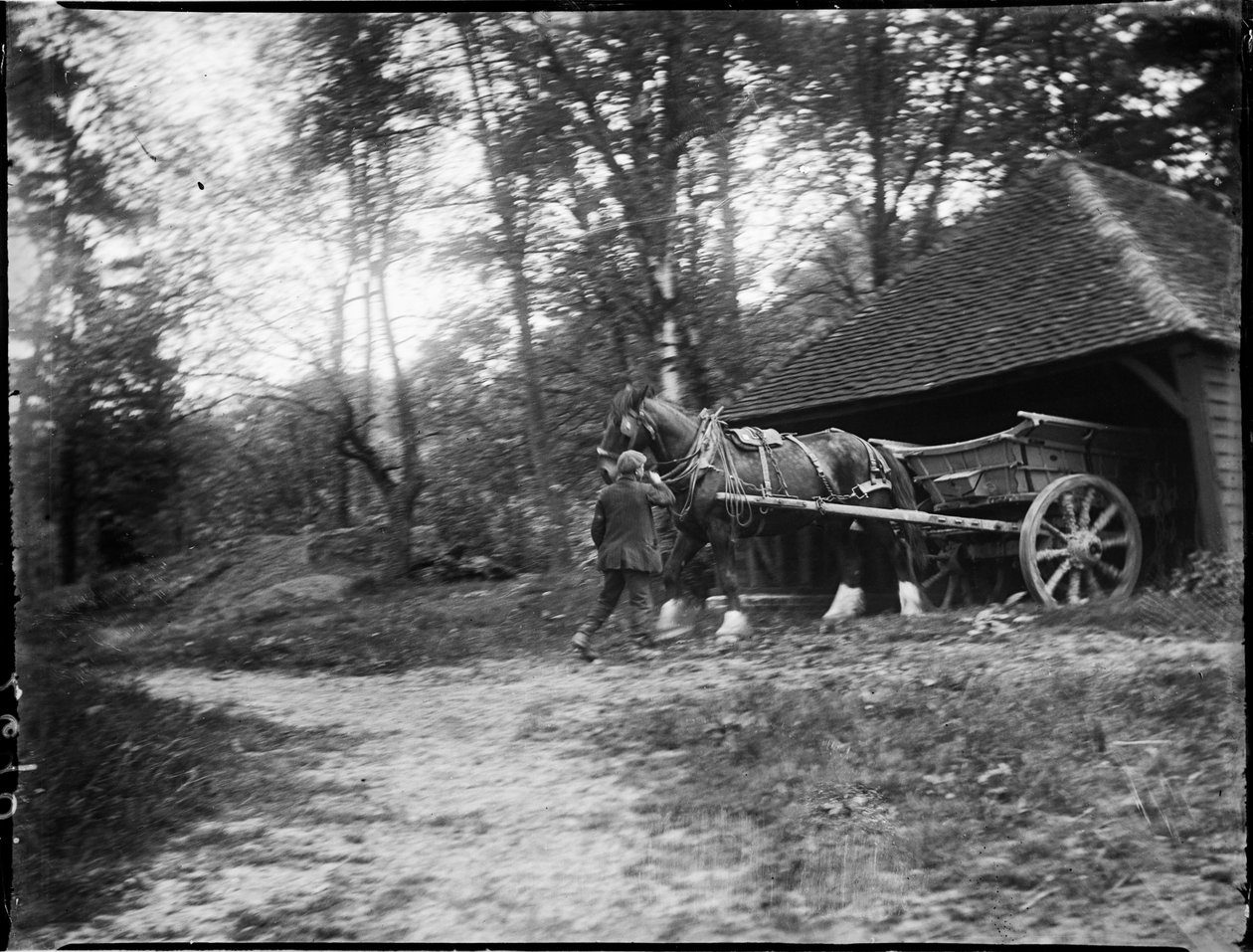 Groombridge, Speldhurst, Tunbridge Wells, Kent, 20/05/1911 by Katherine Jean Macfee