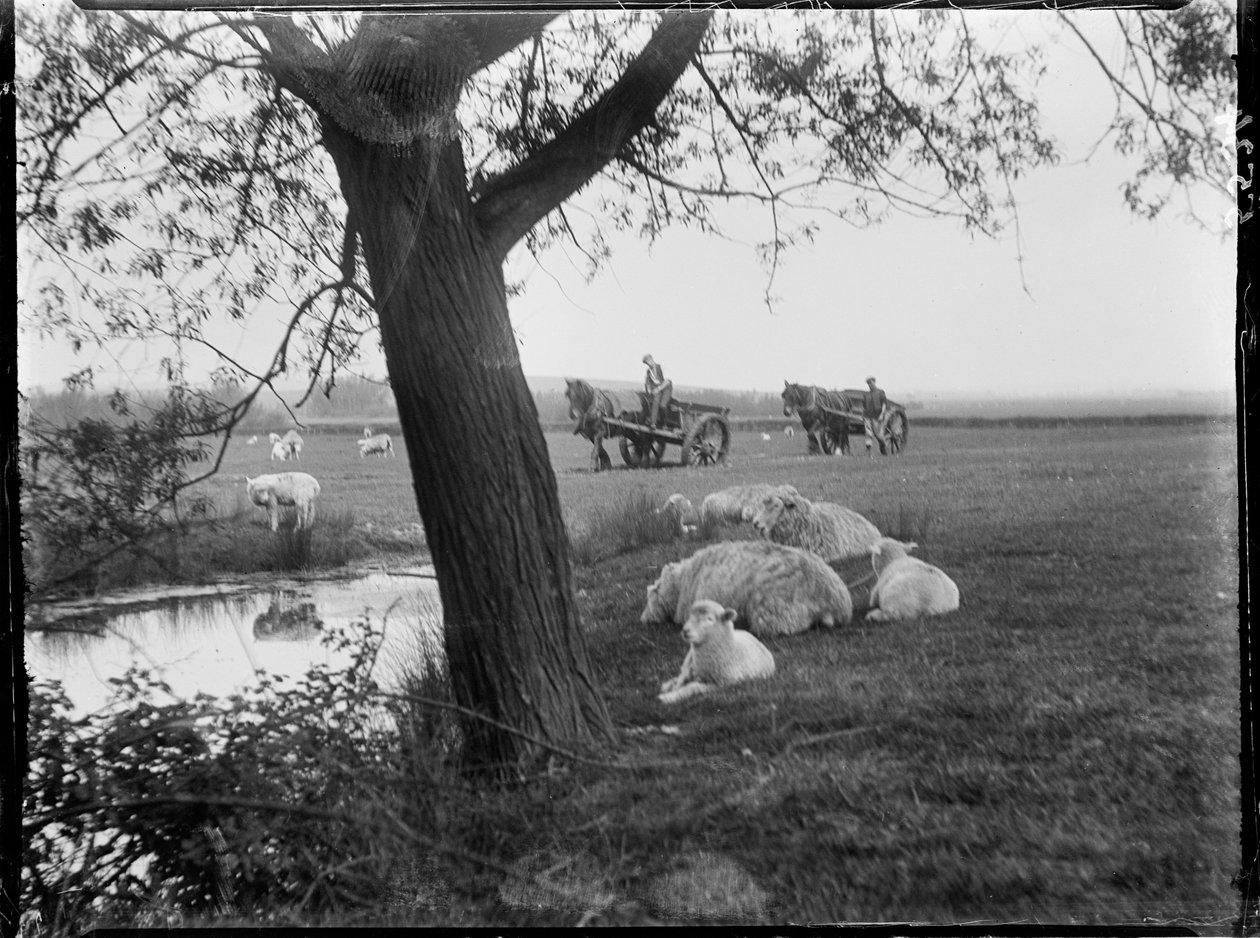 Luckhurst, Lower Road, Stone-Cum-Ebony, Ashford, Kent by Katherine Jean Macfee