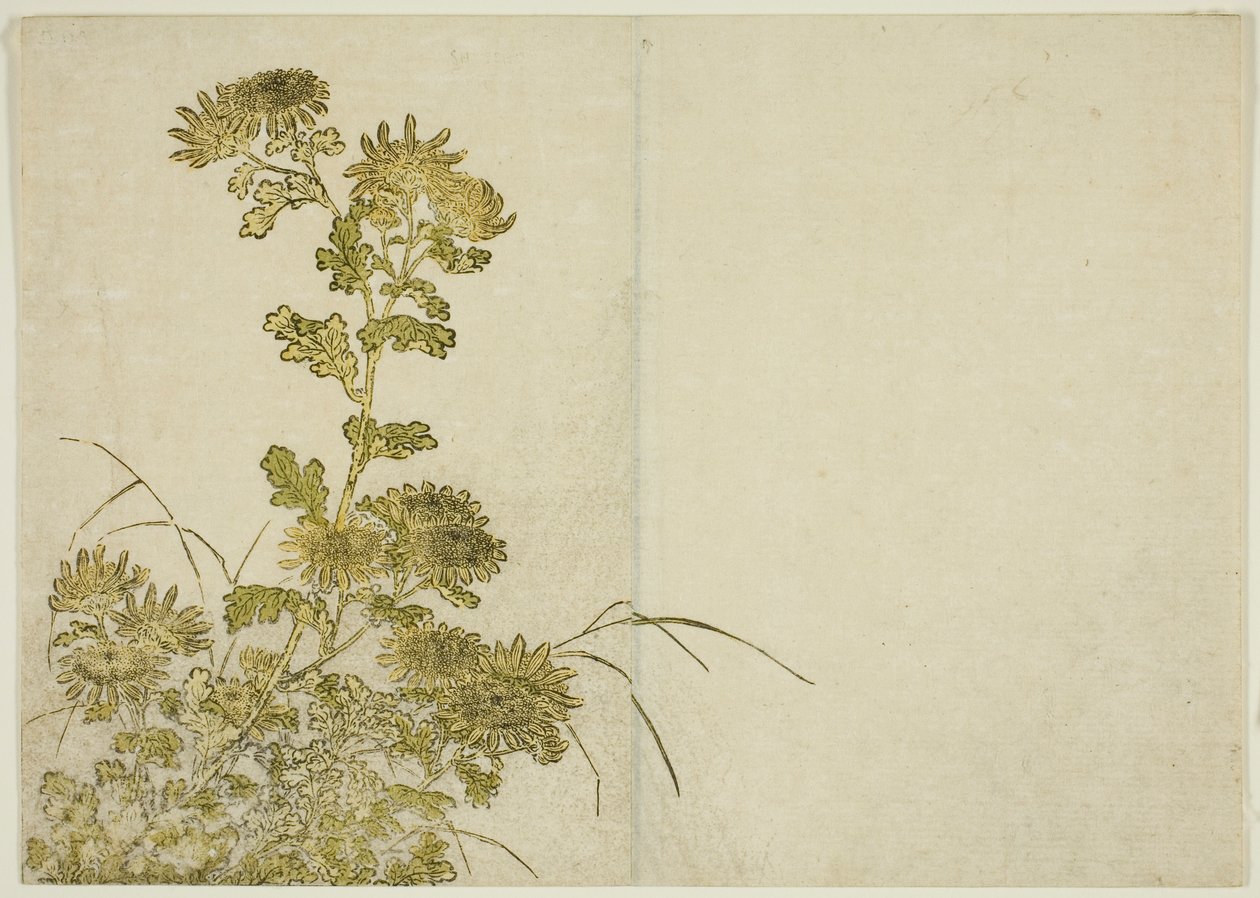 Winter Flowers: Chrysanthemums, from the book "Mirror of Beautiful Women of the Pleasure Quarters," vol. 1 by Katsukawa Shunsho
