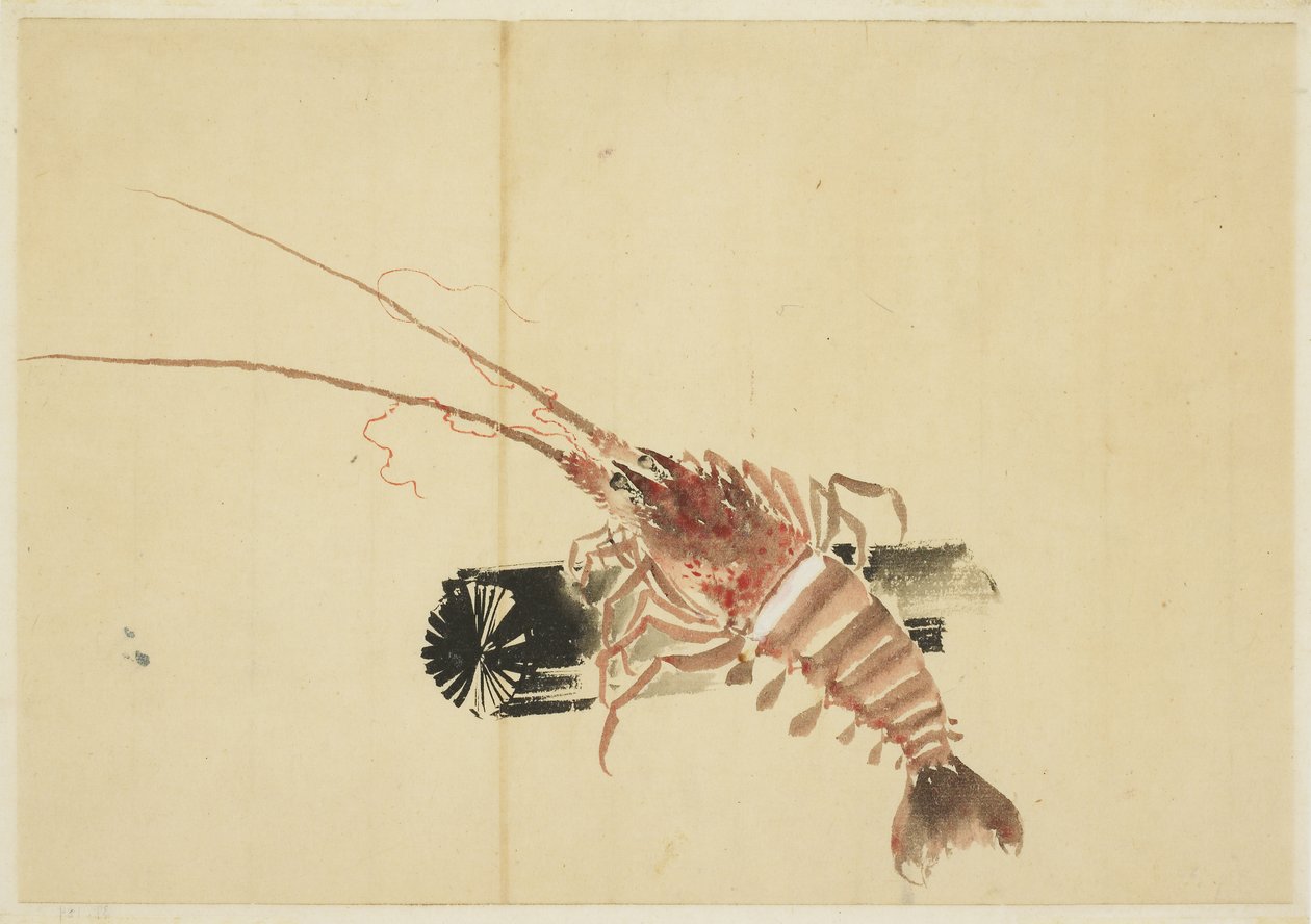 Giant Shrimp by Katsushika (school of) Hokusai